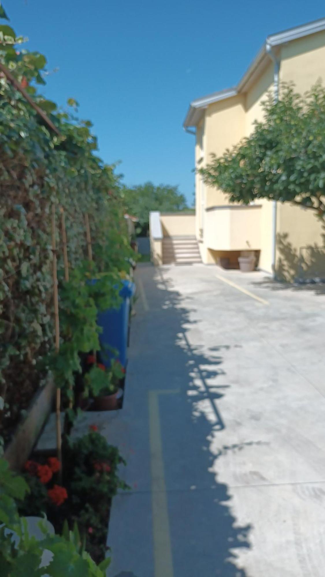 Apartments Monte Magno Pula Exterior photo